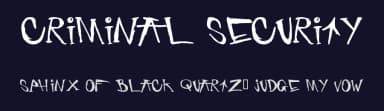 Criminal Security by Kyrre Honohan — Script Handwritten Font — thumbnail 2