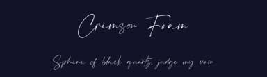 Crimson Foam by Typetemp Studio — Script Handwritten Font — thumbnail 2