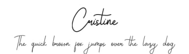 Cristine by Alpaprana Studio — Script Handwritten Font — thumbnail 1