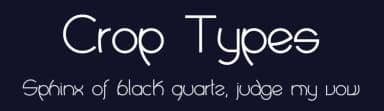 Crop Types by Cristian Bellei — Sans Serif Font — thumbnail 2