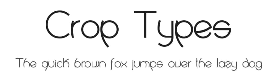 Crop Types by Cristian Bellei — Sans Serif Font