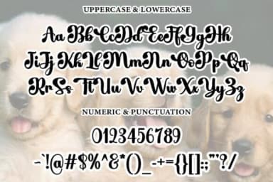 Cute Dog Font Font by Ws Studio — Script Handwritten Font — thumbnail 2