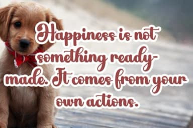 Cute Dog Font Font by Ws Studio — Script Handwritten Font — thumbnail 3