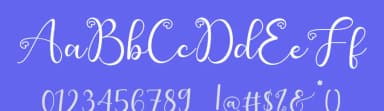 Cute Butterfly by AEN Creative Studio — Script Handwritten Font — thumbnail 3