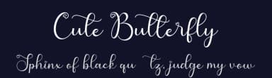 Cute Butterfly by AEN Creative Studio — Script Handwritten Font — thumbnail 2