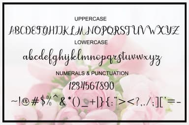 Dahlia Script Font by masinong — Script Handwritten Font — thumbnail 8