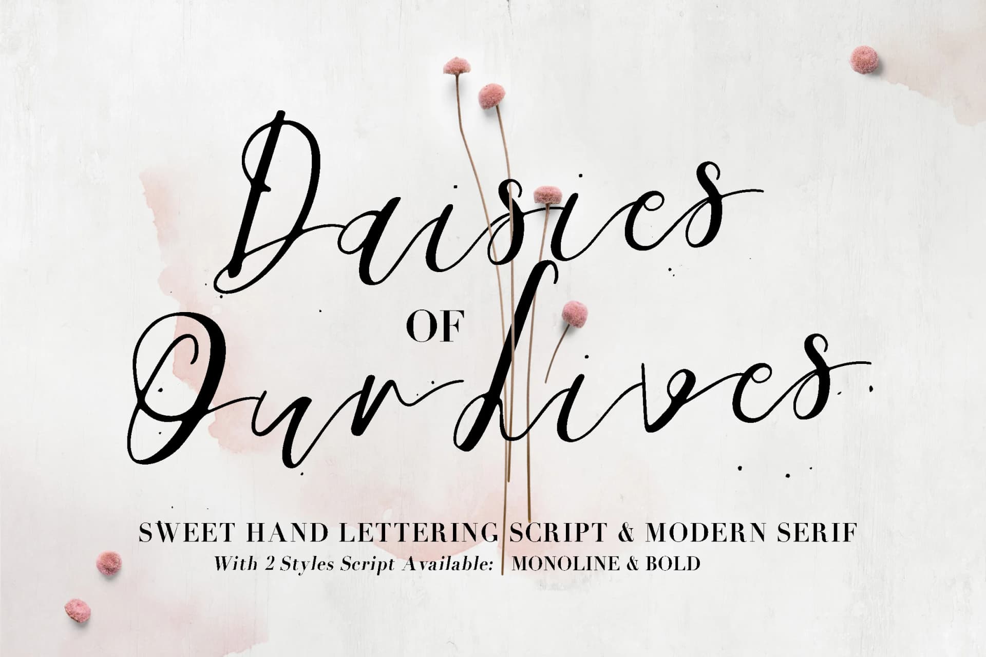 Daisies of Our Lives Font by Blue Robin Design Shop — Script Handwritten Font
