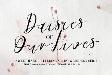 Daisies of Our Lives Font by Blue Robin Design Shop — Script Handwritten Font — thumbnail 1