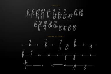 Daisuke Font by Grezline Studio — Script Handwritten Font — thumbnail 7