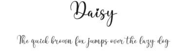 Daisy by Fillo Graphic — Script Handwritten Font — thumbnail 1