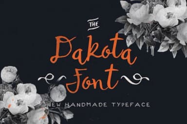 Dakota Font by Noe Araujo — Script Handwritten Font — thumbnail 1