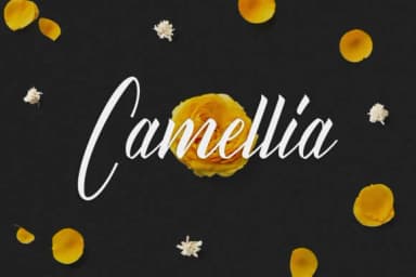 Dalechampia Font by Katario Studio — Script Handwritten Font — thumbnail 6