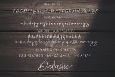 Dallastic Script Font by akifatype — Script Handwritten Font — thumbnail 5