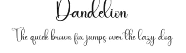 Dandelion by Harlek Studio — Script Handwritten Font — thumbnail 1