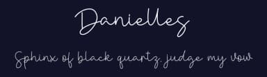 Danielles by Rometheme Std — Script Handwritten Font — thumbnail 2