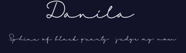 Danila by Hallotudio — Script Handwritten Font — thumbnail 2