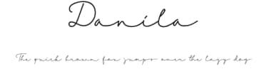 Danila by Hallotudio — Script Handwritten Font — thumbnail 1
