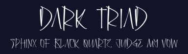 Dark Triad by Perspectype Studio - Letterena.com — Script Handwritten Font — thumbnail 2
