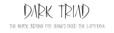 Dark Triad by Perspectype Studio - Letterena.com — Script Handwritten Font — thumbnail 1