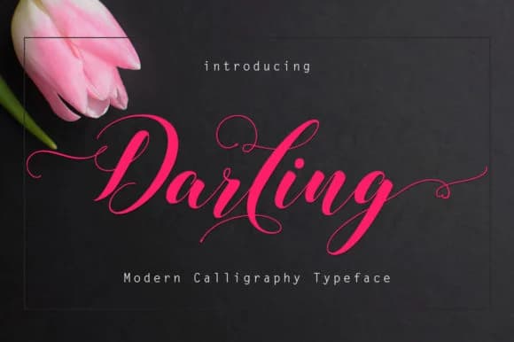 Darling Font by Rudistudio — Script Handwritten Font