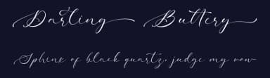Darling Buttery by Prioritype Co — Script Handwritten Font — thumbnail 2
