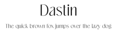 Dastin by ToniStudio — Sans Serif Font — thumbnail 1