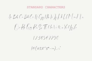 Dattebayo Font by VSTRD TYPEWORKS — Script Handwritten Font — thumbnail 4