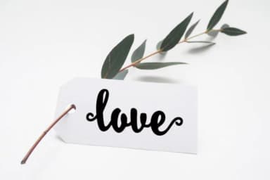 Davina Sichelle Font by Aqeela Studio — Script Handwritten Font — thumbnail 7