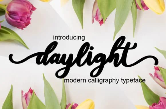 Daylight Font by Mrletters — Script Handwritten Font