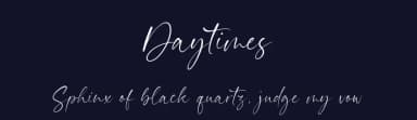 Daytimes by Timur Type — Script Handwritten Font — thumbnail 2