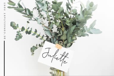 De'Consultant Font by Sronstudio — Script Handwritten Font — thumbnail 6