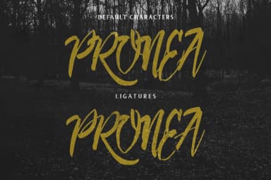 Deadhead Brush Font by Fontdation — Script Handwritten Font — thumbnail 4