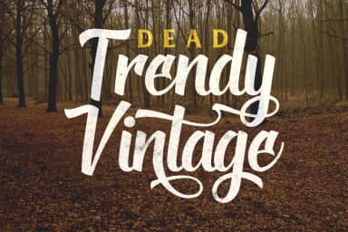 Deadhead Script Font by Fontdation — Script Handwritten Font — thumbnail 4