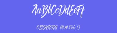 Deadhead Brush by Twicolabs Fontdation — Script Handwritten Font — thumbnail 3