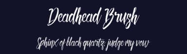 Deadhead Brush by Twicolabs Fontdation — Script Handwritten Font — thumbnail 2
