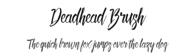 Deadhead Brush by Twicolabs Fontdation — Script Handwritten Font