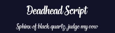 Deadhead Script by Twicolabs Fontdation — Script Handwritten Font — thumbnail 2