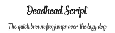 Deadhead Script by Twicolabs Fontdation — Script Handwritten Font — thumbnail 1