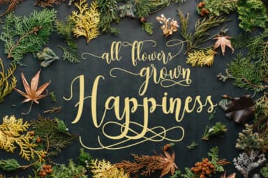 Dealove Script Font by Analogous — Script Handwritten Font — thumbnail 6