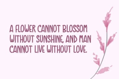 Debutant Font by Shattered Notion — Script Handwritten Font — thumbnail 2