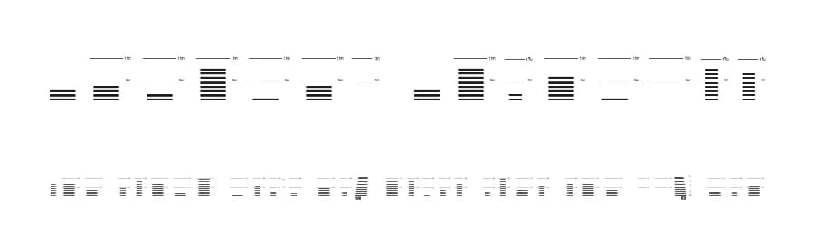 Decibel Dingbats by Sokratype — Dingbats Font