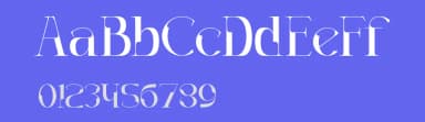 Decoslice by Muksal Creative — Serif Font — thumbnail 3