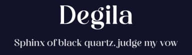 Degila by Storytype Studio — Serif Font — thumbnail 2