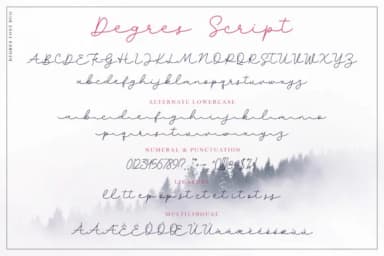 Degres Duo Font by letterzhe — Script Handwritten Font — thumbnail 8