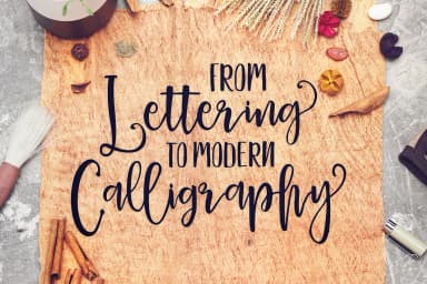 Delaney Script Font by Youngtype — Script Handwritten Font — thumbnail 2