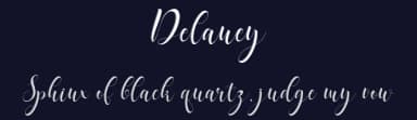 Delaney by Chairul Art — Script Handwritten Font — thumbnail 2
