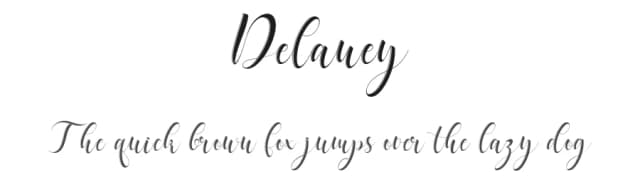 Delaney by Chairul Art — Script Handwritten Font