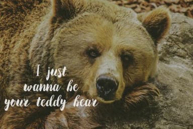 Delayota Font by Wowok Prast — Script Handwritten Font — thumbnail 5