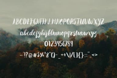 Delayota Font by Wowok Prast — Script Handwritten Font — thumbnail 9