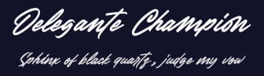 Delegante Champion by Typeline Studio — Script Handwritten Font — thumbnail 2